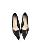 stiletto pointed shoe Heel
