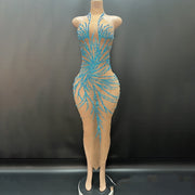 Bright Crystal Gauzy Package Hip Host Evening Dress